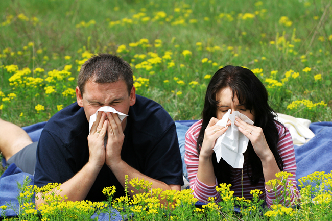 seasonal-allergies